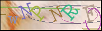 Registration Image